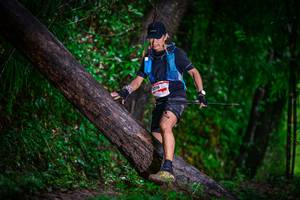 BIB: 016, 
                            <button type="button" onclick="openModal(13372541)" class="btn btn-primary btn-sm float-right btn-popup" data-toggle="modal" data-target=".modal-high-quality">
                        <i class="fas fa-shopping-cart"></i> Add to Cart
                    </button>
                                            <button type="button" onclick="isThisMe(13372541, true)" class="btn btn-success btn-sm float-right btn-popup btn-isme hidden" data-toggle="tooltip" data-placement="bottom" title="นี่คือรูปของคุณใช่ไหม คลิกที่นี่เพื่อเอาเข้าอัลบั้ม">
                        <i class="fas fa-plus"></i> Add to album
                    </button>
                    <button type="button" onclick="isThisMe(13372541, false)" class="btn btn-warning btn-sm float-right btn-popup btn-isnotme hidden">
                        <i class="fas fa-ban"></i> Remove from album
                    </button>