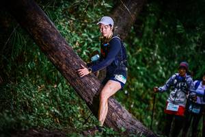 BIB: 
                            <button type="button" onclick="openModal(13420254)" class="btn btn-primary btn-sm float-right btn-popup" data-toggle="modal" data-target=".modal-high-quality">
                        <i class="fas fa-shopping-cart"></i> Add to Cart
                    </button>
                                            <button type="button" onclick="isThisMe(13420254, true)" class="btn btn-success btn-sm float-right btn-popup btn-isme hidden" data-toggle="tooltip" data-placement="bottom" title="นี่คือรูปของคุณใช่ไหม คลิกที่นี่เพื่อเอาเข้าอัลบั้ม">
                        <i class="fas fa-plus"></i> Add to album
                    </button>
                    <button type="button" onclick="isThisMe(13420254, false)" class="btn btn-warning btn-sm float-right btn-popup btn-isnotme hidden">
                        <i class="fas fa-ban"></i> Remove from album
                    </button>