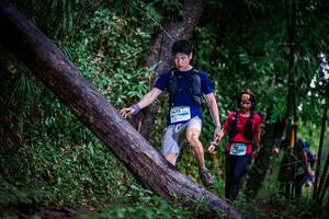 BIB: 1473
                            <button type="button" onclick="openModal(13372983)" class="btn btn-primary btn-sm float-right btn-popup" data-toggle="modal" data-target=".modal-high-quality">
                        <i class="fas fa-shopping-cart"></i> Add to Cart
                    </button>
                                            <button type="button" onclick="isThisMe(13372983, true)" class="btn btn-success btn-sm float-right btn-popup btn-isme hidden" data-toggle="tooltip" data-placement="bottom" title="นี่คือรูปของคุณใช่ไหม คลิกที่นี่เพื่อเอาเข้าอัลบั้ม">
                        <i class="fas fa-plus"></i> Add to album
                    </button>
                    <button type="button" onclick="isThisMe(13372983, false)" class="btn btn-warning btn-sm float-right btn-popup btn-isnotme hidden">
                        <i class="fas fa-ban"></i> Remove from album
                    </button>