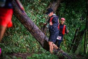 BIB: 
                            <button type="button" onclick="openModal(13373413)" class="btn btn-primary btn-sm float-right btn-popup" data-toggle="modal" data-target=".modal-high-quality">
                        <i class="fas fa-shopping-cart"></i> Add to Cart
                    </button>
                                            <button type="button" onclick="isThisMe(13373413, true)" class="btn btn-success btn-sm float-right btn-popup btn-isme hidden" data-toggle="tooltip" data-placement="bottom" title="นี่คือรูปของคุณใช่ไหม คลิกที่นี่เพื่อเอาเข้าอัลบั้ม">
                        <i class="fas fa-plus"></i> Add to album
                    </button>
                    <button type="button" onclick="isThisMe(13373413, false)" class="btn btn-warning btn-sm float-right btn-popup btn-isnotme hidden">
                        <i class="fas fa-ban"></i> Remove from album
                    </button>