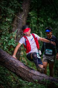 BIB: 
                            <button type="button" onclick="openModal(13419433)" class="btn btn-primary btn-sm float-right btn-popup" data-toggle="modal" data-target=".modal-high-quality">
                        <i class="fas fa-shopping-cart"></i> Add to Cart
                    </button>
                                            <button type="button" onclick="isThisMe(13419433, true)" class="btn btn-success btn-sm float-right btn-popup btn-isme hidden" data-toggle="tooltip" data-placement="bottom" title="นี่คือรูปของคุณใช่ไหม คลิกที่นี่เพื่อเอาเข้าอัลบั้ม">
                        <i class="fas fa-plus"></i> Add to album
                    </button>
                    <button type="button" onclick="isThisMe(13419433, false)" class="btn btn-warning btn-sm float-right btn-popup btn-isnotme hidden">
                        <i class="fas fa-ban"></i> Remove from album
                    </button>