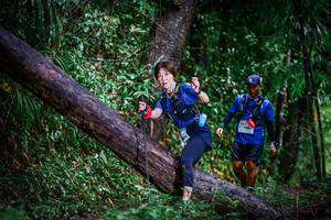 BIB: 
                            <button type="button" onclick="openModal(13372945)" class="btn btn-primary btn-sm float-right btn-popup" data-toggle="modal" data-target=".modal-high-quality">
                        <i class="fas fa-shopping-cart"></i> Add to Cart
                    </button>
                                            <button type="button" onclick="isThisMe(13372945, true)" class="btn btn-success btn-sm float-right btn-popup btn-isme hidden" data-toggle="tooltip" data-placement="bottom" title="นี่คือรูปของคุณใช่ไหม คลิกที่นี่เพื่อเอาเข้าอัลบั้ม">
                        <i class="fas fa-plus"></i> Add to album
                    </button>
                    <button type="button" onclick="isThisMe(13372945, false)" class="btn btn-warning btn-sm float-right btn-popup btn-isnotme hidden">
                        <i class="fas fa-ban"></i> Remove from album
                    </button>