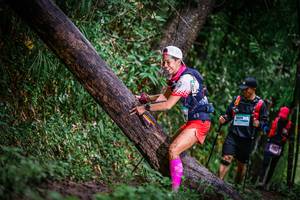 BIB: 
                            <button type="button" onclick="openModal(13373410)" class="btn btn-primary btn-sm float-right btn-popup" data-toggle="modal" data-target=".modal-high-quality">
                        <i class="fas fa-shopping-cart"></i> Add to Cart
                    </button>
                                            <button type="button" onclick="isThisMe(13373410, true)" class="btn btn-success btn-sm float-right btn-popup btn-isme hidden" data-toggle="tooltip" data-placement="bottom" title="นี่คือรูปของคุณใช่ไหม คลิกที่นี่เพื่อเอาเข้าอัลบั้ม">
                        <i class="fas fa-plus"></i> Add to album
                    </button>
                    <button type="button" onclick="isThisMe(13373410, false)" class="btn btn-warning btn-sm float-right btn-popup btn-isnotme hidden">
                        <i class="fas fa-ban"></i> Remove from album
                    </button>