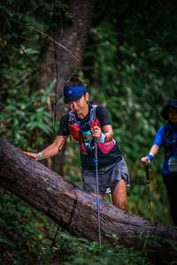 BIB: 
                            <button type="button" onclick="openModal(13419470)" class="btn btn-primary btn-sm float-right btn-popup" data-toggle="modal" data-target=".modal-high-quality">
                        <i class="fas fa-shopping-cart"></i> Add to Cart
                    </button>
                                            <button type="button" onclick="isThisMe(13419470, true)" class="btn btn-success btn-sm float-right btn-popup btn-isme hidden" data-toggle="tooltip" data-placement="bottom" title="นี่คือรูปของคุณใช่ไหม คลิกที่นี่เพื่อเอาเข้าอัลบั้ม">
                        <i class="fas fa-plus"></i> Add to album
                    </button>
                    <button type="button" onclick="isThisMe(13419470, false)" class="btn btn-warning btn-sm float-right btn-popup btn-isnotme hidden">
                        <i class="fas fa-ban"></i> Remove from album
                    </button>