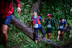 BIB: 
                            <button type="button" onclick="openModal(13372934)" class="btn btn-primary btn-sm float-right btn-popup" data-toggle="modal" data-target=".modal-high-quality">
                        <i class="fas fa-shopping-cart"></i> Add to Cart
                    </button>
                                            <button type="button" onclick="isThisMe(13372934, true)" class="btn btn-success btn-sm float-right btn-popup btn-isme hidden" data-toggle="tooltip" data-placement="bottom" title="นี่คือรูปของคุณใช่ไหม คลิกที่นี่เพื่อเอาเข้าอัลบั้ม">
                        <i class="fas fa-plus"></i> Add to album
                    </button>
                    <button type="button" onclick="isThisMe(13372934, false)" class="btn btn-warning btn-sm float-right btn-popup btn-isnotme hidden">
                        <i class="fas fa-ban"></i> Remove from album
                    </button>