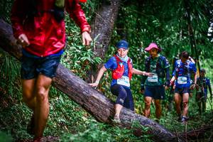 BIB: 1203
                            <button type="button" onclick="openModal(13372933)" class="btn btn-primary btn-sm float-right btn-popup" data-toggle="modal" data-target=".modal-high-quality">
                        <i class="fas fa-shopping-cart"></i> Add to Cart
                    </button>
                                            <button type="button" onclick="isThisMe(13372933, true)" class="btn btn-success btn-sm float-right btn-popup btn-isme hidden" data-toggle="tooltip" data-placement="bottom" title="นี่คือรูปของคุณใช่ไหม คลิกที่นี่เพื่อเอาเข้าอัลบั้ม">
                        <i class="fas fa-plus"></i> Add to album
                    </button>
                    <button type="button" onclick="isThisMe(13372933, false)" class="btn btn-warning btn-sm float-right btn-popup btn-isnotme hidden">
                        <i class="fas fa-ban"></i> Remove from album
                    </button>