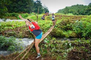 BIB: 
                            <button type="button" onclick="openModal(13367626)" class="btn btn-primary btn-sm float-right btn-popup" data-toggle="modal" data-target=".modal-high-quality">
                        <i class="fas fa-shopping-cart"></i> Add to Cart
                    </button>
                                            <button type="button" onclick="isThisMe(13367626, true)" class="btn btn-success btn-sm float-right btn-popup btn-isme hidden" data-toggle="tooltip" data-placement="bottom" title="นี่คือรูปของคุณใช่ไหม คลิกที่นี่เพื่อเอาเข้าอัลบั้ม">
                        <i class="fas fa-plus"></i> Add to album
                    </button>
                    <button type="button" onclick="isThisMe(13367626, false)" class="btn btn-warning btn-sm float-right btn-popup btn-isnotme hidden">
                        <i class="fas fa-ban"></i> Remove from album
                    </button>