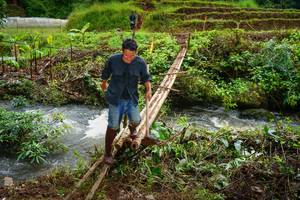 BIB: 
                            <button type="button" onclick="openModal(13367348)" class="btn btn-primary btn-sm float-right btn-popup" data-toggle="modal" data-target=".modal-high-quality">
                        <i class="fas fa-shopping-cart"></i> Add to Cart
                    </button>
                                            <button type="button" onclick="isThisMe(13367348, true)" class="btn btn-success btn-sm float-right btn-popup btn-isme hidden" data-toggle="tooltip" data-placement="bottom" title="นี่คือรูปของคุณใช่ไหม คลิกที่นี่เพื่อเอาเข้าอัลบั้ม">
                        <i class="fas fa-plus"></i> Add to album
                    </button>
                    <button type="button" onclick="isThisMe(13367348, false)" class="btn btn-warning btn-sm float-right btn-popup btn-isnotme hidden">
                        <i class="fas fa-ban"></i> Remove from album
                    </button>