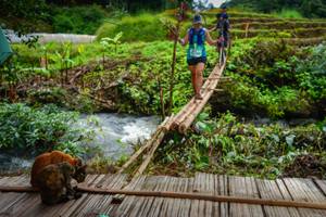 BIB: 
                            <button type="button" onclick="openModal(13367326)" class="btn btn-primary btn-sm float-right btn-popup" data-toggle="modal" data-target=".modal-high-quality">
                        <i class="fas fa-shopping-cart"></i> Add to Cart
                    </button>
                                            <button type="button" onclick="isThisMe(13367326, true)" class="btn btn-success btn-sm float-right btn-popup btn-isme hidden" data-toggle="tooltip" data-placement="bottom" title="นี่คือรูปของคุณใช่ไหม คลิกที่นี่เพื่อเอาเข้าอัลบั้ม">
                        <i class="fas fa-plus"></i> Add to album
                    </button>
                    <button type="button" onclick="isThisMe(13367326, false)" class="btn btn-warning btn-sm float-right btn-popup btn-isnotme hidden">
                        <i class="fas fa-ban"></i> Remove from album
                    </button>