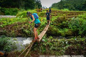 BIB: 
                            <button type="button" onclick="openModal(13367328)" class="btn btn-primary btn-sm float-right btn-popup" data-toggle="modal" data-target=".modal-high-quality">
                        <i class="fas fa-shopping-cart"></i> Add to Cart
                    </button>
                                            <button type="button" onclick="isThisMe(13367328, true)" class="btn btn-success btn-sm float-right btn-popup btn-isme hidden" data-toggle="tooltip" data-placement="bottom" title="นี่คือรูปของคุณใช่ไหม คลิกที่นี่เพื่อเอาเข้าอัลบั้ม">
                        <i class="fas fa-plus"></i> Add to album
                    </button>
                    <button type="button" onclick="isThisMe(13367328, false)" class="btn btn-warning btn-sm float-right btn-popup btn-isnotme hidden">
                        <i class="fas fa-ban"></i> Remove from album
                    </button>