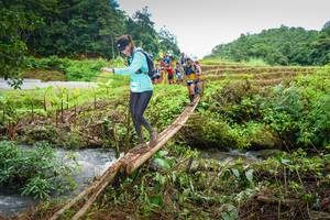 BIB: 
                            <button type="button" onclick="openModal(13367734)" class="btn btn-primary btn-sm float-right btn-popup" data-toggle="modal" data-target=".modal-high-quality">
                        <i class="fas fa-shopping-cart"></i> Add to Cart
                    </button>
                                            <button type="button" onclick="isThisMe(13367734, true)" class="btn btn-success btn-sm float-right btn-popup btn-isme hidden" data-toggle="tooltip" data-placement="bottom" title="นี่คือรูปของคุณใช่ไหม คลิกที่นี่เพื่อเอาเข้าอัลบั้ม">
                        <i class="fas fa-plus"></i> Add to album
                    </button>
                    <button type="button" onclick="isThisMe(13367734, false)" class="btn btn-warning btn-sm float-right btn-popup btn-isnotme hidden">
                        <i class="fas fa-ban"></i> Remove from album
                    </button>