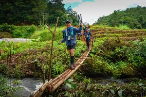 BIB: 
                            <button type="button" onclick="openModal(13367964)" class="btn btn-primary btn-sm float-right btn-popup" data-toggle="modal" data-target=".modal-high-quality">
                        <i class="fas fa-shopping-cart"></i> Add to Cart
                    </button>
                                            <button type="button" onclick="isThisMe(13367964, true)" class="btn btn-success btn-sm float-right btn-popup btn-isme hidden" data-toggle="tooltip" data-placement="bottom" title="นี่คือรูปของคุณใช่ไหม คลิกที่นี่เพื่อเอาเข้าอัลบั้ม">
                        <i class="fas fa-plus"></i> Add to album
                    </button>
                    <button type="button" onclick="isThisMe(13367964, false)" class="btn btn-warning btn-sm float-right btn-popup btn-isnotme hidden">
                        <i class="fas fa-ban"></i> Remove from album
                    </button>