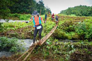 BIB: 
                            <button type="button" onclick="openModal(13367634)" class="btn btn-primary btn-sm float-right btn-popup" data-toggle="modal" data-target=".modal-high-quality">
                        <i class="fas fa-shopping-cart"></i> Add to Cart
                    </button>
                                            <button type="button" onclick="isThisMe(13367634, true)" class="btn btn-success btn-sm float-right btn-popup btn-isme hidden" data-toggle="tooltip" data-placement="bottom" title="นี่คือรูปของคุณใช่ไหม คลิกที่นี่เพื่อเอาเข้าอัลบั้ม">
                        <i class="fas fa-plus"></i> Add to album
                    </button>
                    <button type="button" onclick="isThisMe(13367634, false)" class="btn btn-warning btn-sm float-right btn-popup btn-isnotme hidden">
                        <i class="fas fa-ban"></i> Remove from album
                    </button>