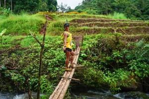 BIB: 
                            <button type="button" onclick="openModal(13367181)" class="btn btn-primary btn-sm float-right btn-popup" data-toggle="modal" data-target=".modal-high-quality">
                        <i class="fas fa-shopping-cart"></i> Add to Cart
                    </button>
                                            <button type="button" onclick="isThisMe(13367181, true)" class="btn btn-success btn-sm float-right btn-popup btn-isme hidden" data-toggle="tooltip" data-placement="bottom" title="นี่คือรูปของคุณใช่ไหม คลิกที่นี่เพื่อเอาเข้าอัลบั้ม">
                        <i class="fas fa-plus"></i> Add to album
                    </button>
                    <button type="button" onclick="isThisMe(13367181, false)" class="btn btn-warning btn-sm float-right btn-popup btn-isnotme hidden">
                        <i class="fas fa-ban"></i> Remove from album
                    </button>