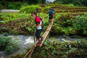 BIB: 
                            <button type="button" onclick="openModal(13367335)" class="btn btn-primary btn-sm float-right btn-popup" data-toggle="modal" data-target=".modal-high-quality">
                        <i class="fas fa-shopping-cart"></i> Add to Cart
                    </button>
                                            <button type="button" onclick="isThisMe(13367335, true)" class="btn btn-success btn-sm float-right btn-popup btn-isme hidden" data-toggle="tooltip" data-placement="bottom" title="นี่คือรูปของคุณใช่ไหม คลิกที่นี่เพื่อเอาเข้าอัลบั้ม">
                        <i class="fas fa-plus"></i> Add to album
                    </button>
                    <button type="button" onclick="isThisMe(13367335, false)" class="btn btn-warning btn-sm float-right btn-popup btn-isnotme hidden">
                        <i class="fas fa-ban"></i> Remove from album
                    </button>