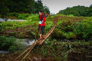 BIB: 
                            <button type="button" onclick="openModal(13368162)" class="btn btn-primary btn-sm float-right btn-popup" data-toggle="modal" data-target=".modal-high-quality">
                        <i class="fas fa-shopping-cart"></i> Add to Cart
                    </button>
                                            <button type="button" onclick="isThisMe(13368162, true)" class="btn btn-success btn-sm float-right btn-popup btn-isme hidden" data-toggle="tooltip" data-placement="bottom" title="นี่คือรูปของคุณใช่ไหม คลิกที่นี่เพื่อเอาเข้าอัลบั้ม">
                        <i class="fas fa-plus"></i> Add to album
                    </button>
                    <button type="button" onclick="isThisMe(13368162, false)" class="btn btn-warning btn-sm float-right btn-popup btn-isnotme hidden">
                        <i class="fas fa-ban"></i> Remove from album
                    </button>