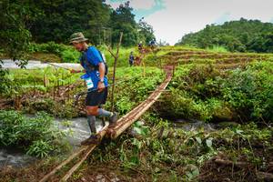 BIB: 
                            <button type="button" onclick="openModal(13367979)" class="btn btn-primary btn-sm float-right btn-popup" data-toggle="modal" data-target=".modal-high-quality">
                        <i class="fas fa-shopping-cart"></i> Add to Cart
                    </button>
                                            <button type="button" onclick="isThisMe(13367979, true)" class="btn btn-success btn-sm float-right btn-popup btn-isme hidden" data-toggle="tooltip" data-placement="bottom" title="นี่คือรูปของคุณใช่ไหม คลิกที่นี่เพื่อเอาเข้าอัลบั้ม">
                        <i class="fas fa-plus"></i> Add to album
                    </button>
                    <button type="button" onclick="isThisMe(13367979, false)" class="btn btn-warning btn-sm float-right btn-popup btn-isnotme hidden">
                        <i class="fas fa-ban"></i> Remove from album
                    </button>