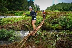 BIB: 
                            <button type="button" onclick="openModal(13368015)" class="btn btn-primary btn-sm float-right btn-popup" data-toggle="modal" data-target=".modal-high-quality">
                        <i class="fas fa-shopping-cart"></i> Add to Cart
                    </button>
                                            <button type="button" onclick="isThisMe(13368015, true)" class="btn btn-success btn-sm float-right btn-popup btn-isme hidden" data-toggle="tooltip" data-placement="bottom" title="นี่คือรูปของคุณใช่ไหม คลิกที่นี่เพื่อเอาเข้าอัลบั้ม">
                        <i class="fas fa-plus"></i> Add to album
                    </button>
                    <button type="button" onclick="isThisMe(13368015, false)" class="btn btn-warning btn-sm float-right btn-popup btn-isnotme hidden">
                        <i class="fas fa-ban"></i> Remove from album
                    </button>