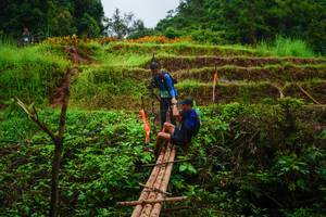 BIB: 
                            <button type="button" onclick="openModal(13367166)" class="btn btn-primary btn-sm float-right btn-popup" data-toggle="modal" data-target=".modal-high-quality">
                        <i class="fas fa-shopping-cart"></i> Add to Cart
                    </button>
                                            <button type="button" onclick="isThisMe(13367166, true)" class="btn btn-success btn-sm float-right btn-popup btn-isme hidden" data-toggle="tooltip" data-placement="bottom" title="นี่คือรูปของคุณใช่ไหม คลิกที่นี่เพื่อเอาเข้าอัลบั้ม">
                        <i class="fas fa-plus"></i> Add to album
                    </button>
                    <button type="button" onclick="isThisMe(13367166, false)" class="btn btn-warning btn-sm float-right btn-popup btn-isnotme hidden">
                        <i class="fas fa-ban"></i> Remove from album
                    </button>