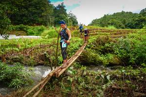 BIB: 
                            <button type="button" onclick="openModal(13367981)" class="btn btn-primary btn-sm float-right btn-popup" data-toggle="modal" data-target=".modal-high-quality">
                        <i class="fas fa-shopping-cart"></i> Add to Cart
                    </button>
                                            <button type="button" onclick="isThisMe(13367981, true)" class="btn btn-success btn-sm float-right btn-popup btn-isme hidden" data-toggle="tooltip" data-placement="bottom" title="นี่คือรูปของคุณใช่ไหม คลิกที่นี่เพื่อเอาเข้าอัลบั้ม">
                        <i class="fas fa-plus"></i> Add to album
                    </button>
                    <button type="button" onclick="isThisMe(13367981, false)" class="btn btn-warning btn-sm float-right btn-popup btn-isnotme hidden">
                        <i class="fas fa-ban"></i> Remove from album
                    </button>