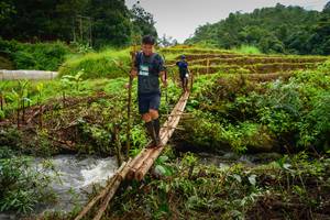 BIB: 
                            <button type="button" onclick="openModal(13367329)" class="btn btn-primary btn-sm float-right btn-popup" data-toggle="modal" data-target=".modal-high-quality">
                        <i class="fas fa-shopping-cart"></i> Add to Cart
                    </button>
                                            <button type="button" onclick="isThisMe(13367329, true)" class="btn btn-success btn-sm float-right btn-popup btn-isme hidden" data-toggle="tooltip" data-placement="bottom" title="นี่คือรูปของคุณใช่ไหม คลิกที่นี่เพื่อเอาเข้าอัลบั้ม">
                        <i class="fas fa-plus"></i> Add to album
                    </button>
                    <button type="button" onclick="isThisMe(13367329, false)" class="btn btn-warning btn-sm float-right btn-popup btn-isnotme hidden">
                        <i class="fas fa-ban"></i> Remove from album
                    </button>