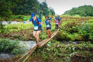 BIB: 043
                            <button type="button" onclick="openModal(13367694)" class="btn btn-primary btn-sm float-right btn-popup" data-toggle="modal" data-target=".modal-high-quality">
                        <i class="fas fa-shopping-cart"></i> Add to Cart
                    </button>
                                            <button type="button" onclick="isThisMe(13367694, true)" class="btn btn-success btn-sm float-right btn-popup btn-isme hidden" data-toggle="tooltip" data-placement="bottom" title="นี่คือรูปของคุณใช่ไหม คลิกที่นี่เพื่อเอาเข้าอัลบั้ม">
                        <i class="fas fa-plus"></i> Add to album
                    </button>
                    <button type="button" onclick="isThisMe(13367694, false)" class="btn btn-warning btn-sm float-right btn-popup btn-isnotme hidden">
                        <i class="fas fa-ban"></i> Remove from album
                    </button>