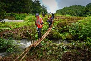 BIB: 
                            <button type="button" onclick="openModal(13367397)" class="btn btn-primary btn-sm float-right btn-popup" data-toggle="modal" data-target=".modal-high-quality">
                        <i class="fas fa-shopping-cart"></i> Add to Cart
                    </button>
                                            <button type="button" onclick="isThisMe(13367397, true)" class="btn btn-success btn-sm float-right btn-popup btn-isme hidden" data-toggle="tooltip" data-placement="bottom" title="นี่คือรูปของคุณใช่ไหม คลิกที่นี่เพื่อเอาเข้าอัลบั้ม">
                        <i class="fas fa-plus"></i> Add to album
                    </button>
                    <button type="button" onclick="isThisMe(13367397, false)" class="btn btn-warning btn-sm float-right btn-popup btn-isnotme hidden">
                        <i class="fas fa-ban"></i> Remove from album
                    </button>