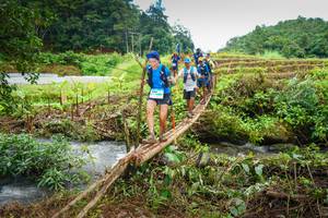 BIB: 
                            <button type="button" onclick="openModal(13367707)" class="btn btn-primary btn-sm float-right btn-popup" data-toggle="modal" data-target=".modal-high-quality">
                        <i class="fas fa-shopping-cart"></i> Add to Cart
                    </button>
                                            <button type="button" onclick="isThisMe(13367707, true)" class="btn btn-success btn-sm float-right btn-popup btn-isme hidden" data-toggle="tooltip" data-placement="bottom" title="นี่คือรูปของคุณใช่ไหม คลิกที่นี่เพื่อเอาเข้าอัลบั้ม">
                        <i class="fas fa-plus"></i> Add to album
                    </button>
                    <button type="button" onclick="isThisMe(13367707, false)" class="btn btn-warning btn-sm float-right btn-popup btn-isnotme hidden">
                        <i class="fas fa-ban"></i> Remove from album
                    </button>