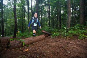 BIB: 
                            <button type="button" onclick="openModal(13466253)" class="btn btn-primary btn-sm float-right btn-popup" data-toggle="modal" data-target=".modal-high-quality">
                        <i class="fas fa-shopping-cart"></i> Add to Cart
                    </button>
                                            <button type="button" onclick="isThisMe(13466253, true)" class="btn btn-success btn-sm float-right btn-popup btn-isme hidden" data-toggle="tooltip" data-placement="bottom" title="นี่คือรูปของคุณใช่ไหม คลิกที่นี่เพื่อเอาเข้าอัลบั้ม">
                        <i class="fas fa-plus"></i> Add to album
                    </button>
                    <button type="button" onclick="isThisMe(13466253, false)" class="btn btn-warning btn-sm float-right btn-popup btn-isnotme hidden">
                        <i class="fas fa-ban"></i> Remove from album
                    </button>