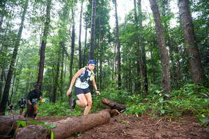 BIB: 
                            <button type="button" onclick="openModal(13465259)" class="btn btn-primary btn-sm float-right btn-popup" data-toggle="modal" data-target=".modal-high-quality">
                        <i class="fas fa-shopping-cart"></i> Add to Cart
                    </button>
                                            <button type="button" onclick="isThisMe(13465259, true)" class="btn btn-success btn-sm float-right btn-popup btn-isme hidden" data-toggle="tooltip" data-placement="bottom" title="นี่คือรูปของคุณใช่ไหม คลิกที่นี่เพื่อเอาเข้าอัลบั้ม">
                        <i class="fas fa-plus"></i> Add to album
                    </button>
                    <button type="button" onclick="isThisMe(13465259, false)" class="btn btn-warning btn-sm float-right btn-popup btn-isnotme hidden">
                        <i class="fas fa-ban"></i> Remove from album
                    </button>