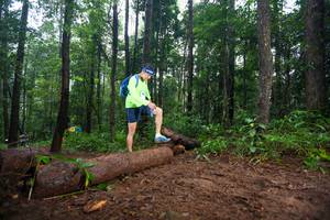 BIB: 
                            <button type="button" onclick="openModal(13466252)" class="btn btn-primary btn-sm float-right btn-popup" data-toggle="modal" data-target=".modal-high-quality">
                        <i class="fas fa-shopping-cart"></i> Add to Cart
                    </button>
                                            <button type="button" onclick="isThisMe(13466252, true)" class="btn btn-success btn-sm float-right btn-popup btn-isme hidden" data-toggle="tooltip" data-placement="bottom" title="นี่คือรูปของคุณใช่ไหม คลิกที่นี่เพื่อเอาเข้าอัลบั้ม">
                        <i class="fas fa-plus"></i> Add to album
                    </button>
                    <button type="button" onclick="isThisMe(13466252, false)" class="btn btn-warning btn-sm float-right btn-popup btn-isnotme hidden">
                        <i class="fas fa-ban"></i> Remove from album
                    </button>