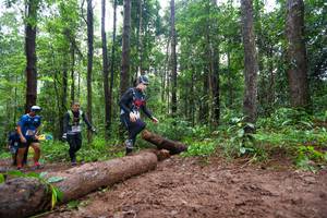 BIB: 
                            <button type="button" onclick="openModal(13466620)" class="btn btn-primary btn-sm float-right btn-popup" data-toggle="modal" data-target=".modal-high-quality">
                        <i class="fas fa-shopping-cart"></i> Add to Cart
                    </button>
                                            <button type="button" onclick="isThisMe(13466620, true)" class="btn btn-success btn-sm float-right btn-popup btn-isme hidden" data-toggle="tooltip" data-placement="bottom" title="นี่คือรูปของคุณใช่ไหม คลิกที่นี่เพื่อเอาเข้าอัลบั้ม">
                        <i class="fas fa-plus"></i> Add to album
                    </button>
                    <button type="button" onclick="isThisMe(13466620, false)" class="btn btn-warning btn-sm float-right btn-popup btn-isnotme hidden">
                        <i class="fas fa-ban"></i> Remove from album
                    </button>