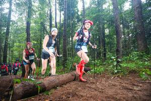 BIB: 
                            <button type="button" onclick="openModal(13465780)" class="btn btn-primary btn-sm float-right btn-popup" data-toggle="modal" data-target=".modal-high-quality">
                        <i class="fas fa-shopping-cart"></i> Add to Cart
                    </button>
                                            <button type="button" onclick="isThisMe(13465780, true)" class="btn btn-success btn-sm float-right btn-popup btn-isme hidden" data-toggle="tooltip" data-placement="bottom" title="นี่คือรูปของคุณใช่ไหม คลิกที่นี่เพื่อเอาเข้าอัลบั้ม">
                        <i class="fas fa-plus"></i> Add to album
                    </button>
                    <button type="button" onclick="isThisMe(13465780, false)" class="btn btn-warning btn-sm float-right btn-popup btn-isnotme hidden">
                        <i class="fas fa-ban"></i> Remove from album
                    </button>