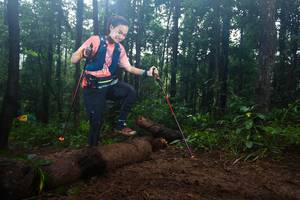 BIB: 
                            <button type="button" onclick="openModal(13466042)" class="btn btn-primary btn-sm float-right btn-popup" data-toggle="modal" data-target=".modal-high-quality">
                        <i class="fas fa-shopping-cart"></i> Add to Cart
                    </button>
                                            <button type="button" onclick="isThisMe(13466042, true)" class="btn btn-success btn-sm float-right btn-popup btn-isme hidden" data-toggle="tooltip" data-placement="bottom" title="นี่คือรูปของคุณใช่ไหม คลิกที่นี่เพื่อเอาเข้าอัลบั้ม">
                        <i class="fas fa-plus"></i> Add to album
                    </button>
                    <button type="button" onclick="isThisMe(13466042, false)" class="btn btn-warning btn-sm float-right btn-popup btn-isnotme hidden">
                        <i class="fas fa-ban"></i> Remove from album
                    </button>