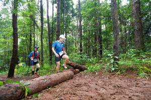 BIB: 
                            <button type="button" onclick="openModal(13466531)" class="btn btn-primary btn-sm float-right btn-popup" data-toggle="modal" data-target=".modal-high-quality">
                        <i class="fas fa-shopping-cart"></i> Add to Cart
                    </button>
                                            <button type="button" onclick="isThisMe(13466531, true)" class="btn btn-success btn-sm float-right btn-popup btn-isme hidden" data-toggle="tooltip" data-placement="bottom" title="นี่คือรูปของคุณใช่ไหม คลิกที่นี่เพื่อเอาเข้าอัลบั้ม">
                        <i class="fas fa-plus"></i> Add to album
                    </button>
                    <button type="button" onclick="isThisMe(13466531, false)" class="btn btn-warning btn-sm float-right btn-popup btn-isnotme hidden">
                        <i class="fas fa-ban"></i> Remove from album
                    </button>