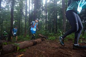 BIB: 
                            <button type="button" onclick="openModal(13465446)" class="btn btn-primary btn-sm float-right btn-popup" data-toggle="modal" data-target=".modal-high-quality">
                        <i class="fas fa-shopping-cart"></i> Add to Cart
                    </button>
                                            <button type="button" onclick="isThisMe(13465446, true)" class="btn btn-success btn-sm float-right btn-popup btn-isme hidden" data-toggle="tooltip" data-placement="bottom" title="นี่คือรูปของคุณใช่ไหม คลิกที่นี่เพื่อเอาเข้าอัลบั้ม">
                        <i class="fas fa-plus"></i> Add to album
                    </button>
                    <button type="button" onclick="isThisMe(13465446, false)" class="btn btn-warning btn-sm float-right btn-popup btn-isnotme hidden">
                        <i class="fas fa-ban"></i> Remove from album
                    </button>