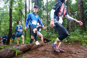 BIB: 626
                            <button type="button" onclick="openModal(13466661)" class="btn btn-primary btn-sm float-right btn-popup" data-toggle="modal" data-target=".modal-high-quality">
                        <i class="fas fa-shopping-cart"></i> Add to Cart
                    </button>
                                            <button type="button" onclick="isThisMe(13466661, true)" class="btn btn-success btn-sm float-right btn-popup btn-isme hidden" data-toggle="tooltip" data-placement="bottom" title="นี่คือรูปของคุณใช่ไหม คลิกที่นี่เพื่อเอาเข้าอัลบั้ม">
                        <i class="fas fa-plus"></i> Add to album
                    </button>
                    <button type="button" onclick="isThisMe(13466661, false)" class="btn btn-warning btn-sm float-right btn-popup btn-isnotme hidden">
                        <i class="fas fa-ban"></i> Remove from album
                    </button>