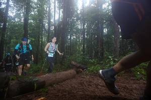 BIB: 
                            <button type="button" onclick="openModal(13465653)" class="btn btn-primary btn-sm float-right btn-popup" data-toggle="modal" data-target=".modal-high-quality">
                        <i class="fas fa-shopping-cart"></i> Add to Cart
                    </button>
                                            <button type="button" onclick="isThisMe(13465653, true)" class="btn btn-success btn-sm float-right btn-popup btn-isme hidden" data-toggle="tooltip" data-placement="bottom" title="นี่คือรูปของคุณใช่ไหม คลิกที่นี่เพื่อเอาเข้าอัลบั้ม">
                        <i class="fas fa-plus"></i> Add to album
                    </button>
                    <button type="button" onclick="isThisMe(13465653, false)" class="btn btn-warning btn-sm float-right btn-popup btn-isnotme hidden">
                        <i class="fas fa-ban"></i> Remove from album
                    </button>