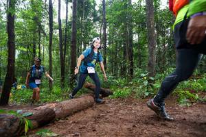 BIB: 
                            <button type="button" onclick="openModal(13466823)" class="btn btn-primary btn-sm float-right btn-popup" data-toggle="modal" data-target=".modal-high-quality">
                        <i class="fas fa-shopping-cart"></i> Add to Cart
                    </button>
                                            <button type="button" onclick="isThisMe(13466823, true)" class="btn btn-success btn-sm float-right btn-popup btn-isme hidden" data-toggle="tooltip" data-placement="bottom" title="นี่คือรูปของคุณใช่ไหม คลิกที่นี่เพื่อเอาเข้าอัลบั้ม">
                        <i class="fas fa-plus"></i> Add to album
                    </button>
                    <button type="button" onclick="isThisMe(13466823, false)" class="btn btn-warning btn-sm float-right btn-popup btn-isnotme hidden">
                        <i class="fas fa-ban"></i> Remove from album
                    </button>