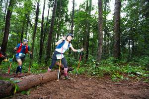 BIB: 
                            <button type="button" onclick="openModal(13465964)" class="btn btn-primary btn-sm float-right btn-popup" data-toggle="modal" data-target=".modal-high-quality">
                        <i class="fas fa-shopping-cart"></i> Add to Cart
                    </button>
                                            <button type="button" onclick="isThisMe(13465964, true)" class="btn btn-success btn-sm float-right btn-popup btn-isme hidden" data-toggle="tooltip" data-placement="bottom" title="นี่คือรูปของคุณใช่ไหม คลิกที่นี่เพื่อเอาเข้าอัลบั้ม">
                        <i class="fas fa-plus"></i> Add to album
                    </button>
                    <button type="button" onclick="isThisMe(13465964, false)" class="btn btn-warning btn-sm float-right btn-popup btn-isnotme hidden">
                        <i class="fas fa-ban"></i> Remove from album
                    </button>