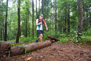 BIB: 
                            <button type="button" onclick="openModal(13466298)" class="btn btn-primary btn-sm float-right btn-popup" data-toggle="modal" data-target=".modal-high-quality">
                        <i class="fas fa-shopping-cart"></i> Add to Cart
                    </button>
                                            <button type="button" onclick="isThisMe(13466298, true)" class="btn btn-success btn-sm float-right btn-popup btn-isme hidden" data-toggle="tooltip" data-placement="bottom" title="นี่คือรูปของคุณใช่ไหม คลิกที่นี่เพื่อเอาเข้าอัลบั้ม">
                        <i class="fas fa-plus"></i> Add to album
                    </button>
                    <button type="button" onclick="isThisMe(13466298, false)" class="btn btn-warning btn-sm float-right btn-popup btn-isnotme hidden">
                        <i class="fas fa-ban"></i> Remove from album
                    </button>