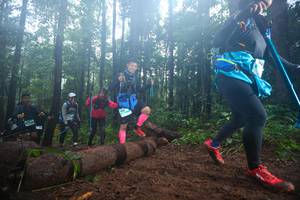 BIB: 
                            <button type="button" onclick="openModal(13466127)" class="btn btn-primary btn-sm float-right btn-popup" data-toggle="modal" data-target=".modal-high-quality">
                        <i class="fas fa-shopping-cart"></i> Add to Cart
                    </button>
                                            <button type="button" onclick="isThisMe(13466127, true)" class="btn btn-success btn-sm float-right btn-popup btn-isme hidden" data-toggle="tooltip" data-placement="bottom" title="นี่คือรูปของคุณใช่ไหม คลิกที่นี่เพื่อเอาเข้าอัลบั้ม">
                        <i class="fas fa-plus"></i> Add to album
                    </button>
                    <button type="button" onclick="isThisMe(13466127, false)" class="btn btn-warning btn-sm float-right btn-popup btn-isnotme hidden">
                        <i class="fas fa-ban"></i> Remove from album
                    </button>