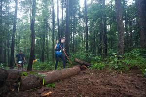 BIB: 
                            <button type="button" onclick="openModal(13465342)" class="btn btn-primary btn-sm float-right btn-popup" data-toggle="modal" data-target=".modal-high-quality">
                        <i class="fas fa-shopping-cart"></i> Add to Cart
                    </button>
                                            <button type="button" onclick="isThisMe(13465342, true)" class="btn btn-success btn-sm float-right btn-popup btn-isme hidden" data-toggle="tooltip" data-placement="bottom" title="นี่คือรูปของคุณใช่ไหม คลิกที่นี่เพื่อเอาเข้าอัลบั้ม">
                        <i class="fas fa-plus"></i> Add to album
                    </button>
                    <button type="button" onclick="isThisMe(13465342, false)" class="btn btn-warning btn-sm float-right btn-popup btn-isnotme hidden">
                        <i class="fas fa-ban"></i> Remove from album
                    </button>