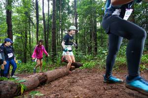 BIB: 
                            <button type="button" onclick="openModal(13466753)" class="btn btn-primary btn-sm float-right btn-popup" data-toggle="modal" data-target=".modal-high-quality">
                        <i class="fas fa-shopping-cart"></i> Add to Cart
                    </button>
                                            <button type="button" onclick="isThisMe(13466753, true)" class="btn btn-success btn-sm float-right btn-popup btn-isme hidden" data-toggle="tooltip" data-placement="bottom" title="นี่คือรูปของคุณใช่ไหม คลิกที่นี่เพื่อเอาเข้าอัลบั้ม">
                        <i class="fas fa-plus"></i> Add to album
                    </button>
                    <button type="button" onclick="isThisMe(13466753, false)" class="btn btn-warning btn-sm float-right btn-popup btn-isnotme hidden">
                        <i class="fas fa-ban"></i> Remove from album
                    </button>