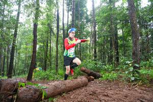 BIB: 
                            <button type="button" onclick="openModal(13466295)" class="btn btn-primary btn-sm float-right btn-popup" data-toggle="modal" data-target=".modal-high-quality">
                        <i class="fas fa-shopping-cart"></i> Add to Cart
                    </button>
                                            <button type="button" onclick="isThisMe(13466295, true)" class="btn btn-success btn-sm float-right btn-popup btn-isme hidden" data-toggle="tooltip" data-placement="bottom" title="นี่คือรูปของคุณใช่ไหม คลิกที่นี่เพื่อเอาเข้าอัลบั้ม">
                        <i class="fas fa-plus"></i> Add to album
                    </button>
                    <button type="button" onclick="isThisMe(13466295, false)" class="btn btn-warning btn-sm float-right btn-popup btn-isnotme hidden">
                        <i class="fas fa-ban"></i> Remove from album
                    </button>