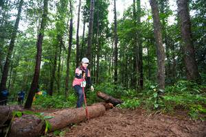 BIB: 
                            <button type="button" onclick="openModal(13466176)" class="btn btn-primary btn-sm float-right btn-popup" data-toggle="modal" data-target=".modal-high-quality">
                        <i class="fas fa-shopping-cart"></i> Add to Cart
                    </button>
                                            <button type="button" onclick="isThisMe(13466176, true)" class="btn btn-success btn-sm float-right btn-popup btn-isme hidden" data-toggle="tooltip" data-placement="bottom" title="นี่คือรูปของคุณใช่ไหม คลิกที่นี่เพื่อเอาเข้าอัลบั้ม">
                        <i class="fas fa-plus"></i> Add to album
                    </button>
                    <button type="button" onclick="isThisMe(13466176, false)" class="btn btn-warning btn-sm float-right btn-popup btn-isnotme hidden">
                        <i class="fas fa-ban"></i> Remove from album
                    </button>