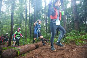 BIB: 1195
                            <button type="button" onclick="openModal(13465928)" class="btn btn-primary btn-sm float-right btn-popup" data-toggle="modal" data-target=".modal-high-quality">
                        <i class="fas fa-shopping-cart"></i> Add to Cart
                    </button>
                                            <button type="button" onclick="isThisMe(13465928, true)" class="btn btn-success btn-sm float-right btn-popup btn-isme hidden" data-toggle="tooltip" data-placement="bottom" title="นี่คือรูปของคุณใช่ไหม คลิกที่นี่เพื่อเอาเข้าอัลบั้ม">
                        <i class="fas fa-plus"></i> Add to album
                    </button>
                    <button type="button" onclick="isThisMe(13465928, false)" class="btn btn-warning btn-sm float-right btn-popup btn-isnotme hidden">
                        <i class="fas fa-ban"></i> Remove from album
                    </button>