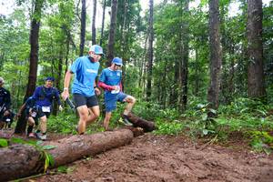 BIB: 
                            <button type="button" onclick="openModal(13466579)" class="btn btn-primary btn-sm float-right btn-popup" data-toggle="modal" data-target=".modal-high-quality">
                        <i class="fas fa-shopping-cart"></i> Add to Cart
                    </button>
                                            <button type="button" onclick="isThisMe(13466579, true)" class="btn btn-success btn-sm float-right btn-popup btn-isme hidden" data-toggle="tooltip" data-placement="bottom" title="นี่คือรูปของคุณใช่ไหม คลิกที่นี่เพื่อเอาเข้าอัลบั้ม">
                        <i class="fas fa-plus"></i> Add to album
                    </button>
                    <button type="button" onclick="isThisMe(13466579, false)" class="btn btn-warning btn-sm float-right btn-popup btn-isnotme hidden">
                        <i class="fas fa-ban"></i> Remove from album
                    </button>