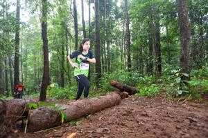 BIB: 8312
                            <button type="button" onclick="openModal(13466283)" class="btn btn-primary btn-sm float-right btn-popup" data-toggle="modal" data-target=".modal-high-quality">
                        <i class="fas fa-shopping-cart"></i> Add to Cart
                    </button>
                                            <button type="button" onclick="isThisMe(13466283, true)" class="btn btn-success btn-sm float-right btn-popup btn-isme hidden" data-toggle="tooltip" data-placement="bottom" title="นี่คือรูปของคุณใช่ไหม คลิกที่นี่เพื่อเอาเข้าอัลบั้ม">
                        <i class="fas fa-plus"></i> Add to album
                    </button>
                    <button type="button" onclick="isThisMe(13466283, false)" class="btn btn-warning btn-sm float-right btn-popup btn-isnotme hidden">
                        <i class="fas fa-ban"></i> Remove from album
                    </button>