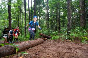 BIB: 
                            <button type="button" onclick="openModal(13466744)" class="btn btn-primary btn-sm float-right btn-popup" data-toggle="modal" data-target=".modal-high-quality">
                        <i class="fas fa-shopping-cart"></i> Add to Cart
                    </button>
                                            <button type="button" onclick="isThisMe(13466744, true)" class="btn btn-success btn-sm float-right btn-popup btn-isme hidden" data-toggle="tooltip" data-placement="bottom" title="นี่คือรูปของคุณใช่ไหม คลิกที่นี่เพื่อเอาเข้าอัลบั้ม">
                        <i class="fas fa-plus"></i> Add to album
                    </button>
                    <button type="button" onclick="isThisMe(13466744, false)" class="btn btn-warning btn-sm float-right btn-popup btn-isnotme hidden">
                        <i class="fas fa-ban"></i> Remove from album
                    </button>